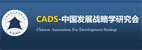 中國(guó)發(fā)展戰(zhàn)略學(xué)研究會(huì)(RCZL)