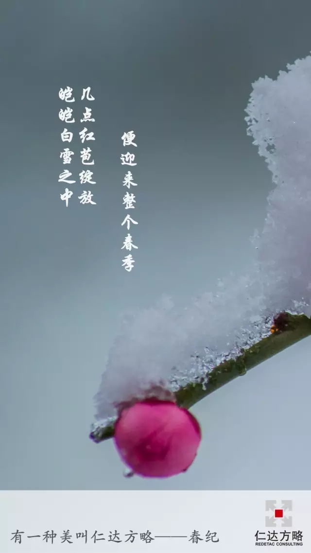 有一種壁紙叫仁達(dá)方略