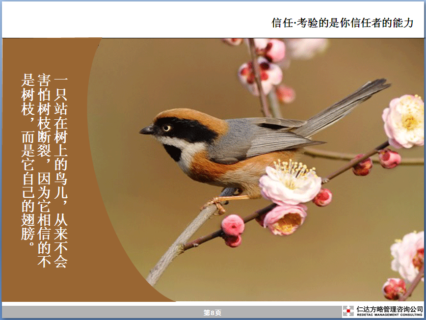 企業(yè)管理咨詢