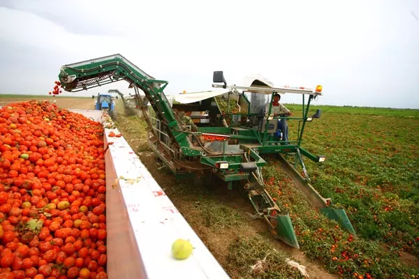 企業(yè)管理咨詢