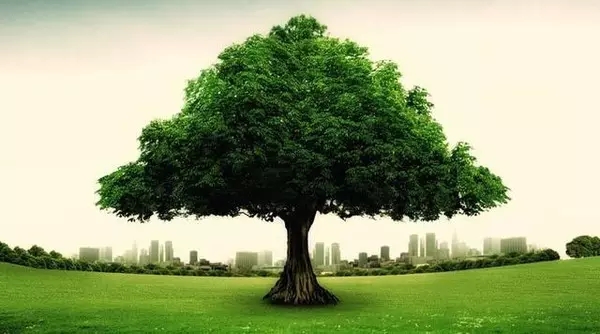 企業(yè)文化建設(shè)