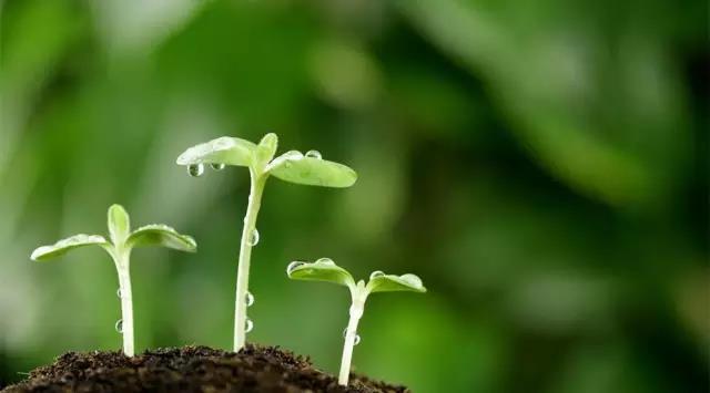 企業(yè)文化建設(shè)