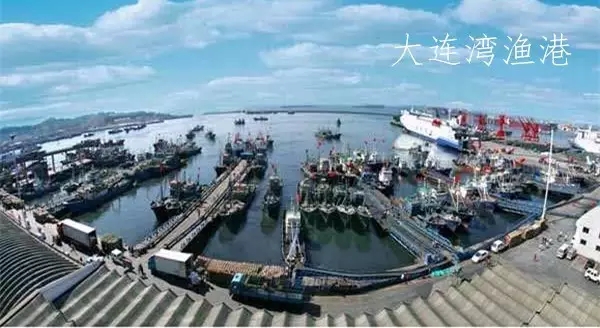 遼漁集團(tuán)邀請(qǐng)王吉鵬舉行講座：《國(guó)企改革下的企業(yè)轉(zhuǎn)型升級(jí)與管理創(chuàng)新》