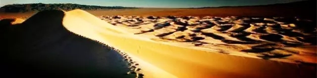 青年中國說：你的格局進化了嗎？