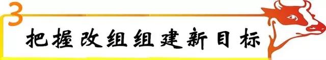 企業(yè)改組組建