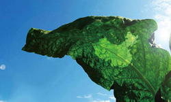 �����ИI(y��)